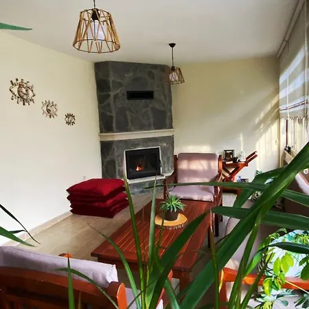 Apartment Cozy Flat With Backyard And Fireplace In *