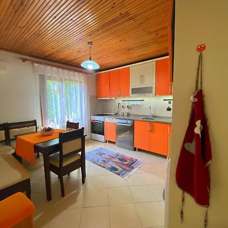 Cozy Flat With Backyard And Fireplace In * Sapanca