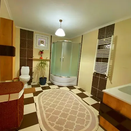 Cozy Flat With Backyard And Fireplace In Sapanca