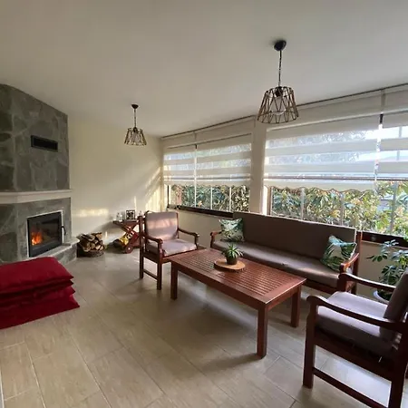 Cozy Flat With Backyard And Fireplace In