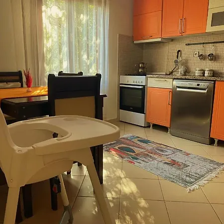 Cozy Flat With Backyard And Fireplace In * Sapanca